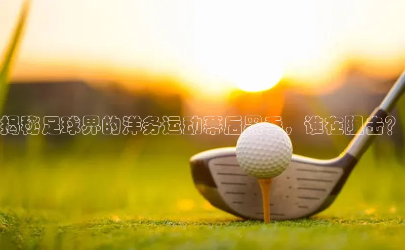 加拿大28开奖结果查询今天中海达揭秘足球界的洋务运动幕后黑手，谁在阻击？