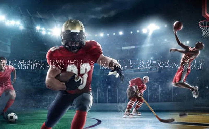 28圈.ccm度小满理财网友评价足球运动员：网坛明星还是平凡之人？