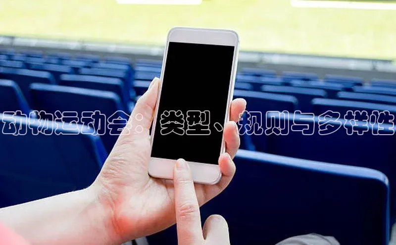 动物运动会：类型、规则与多样性