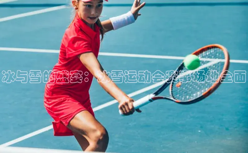 冰与雪的盛宴：冰雪运动会赛事场地全面