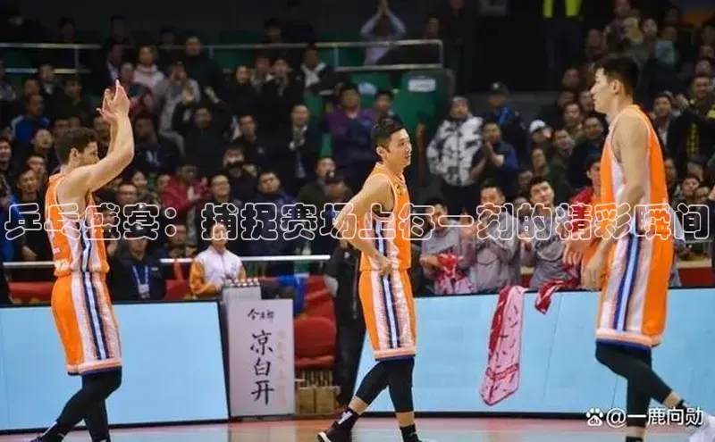 乒乓盛宴：捕捉赛场上每一刻的精彩瞬间