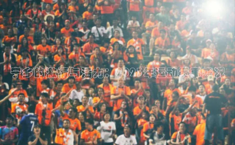 宁乡的激情与活力：2023年运动赛事盛况