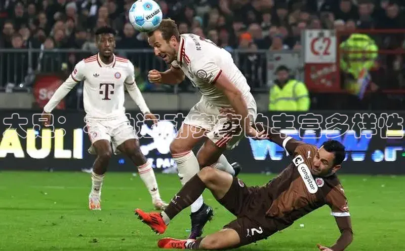 加拿大28圈曹操预测