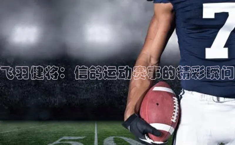 加拿大28开奖结果查询今天